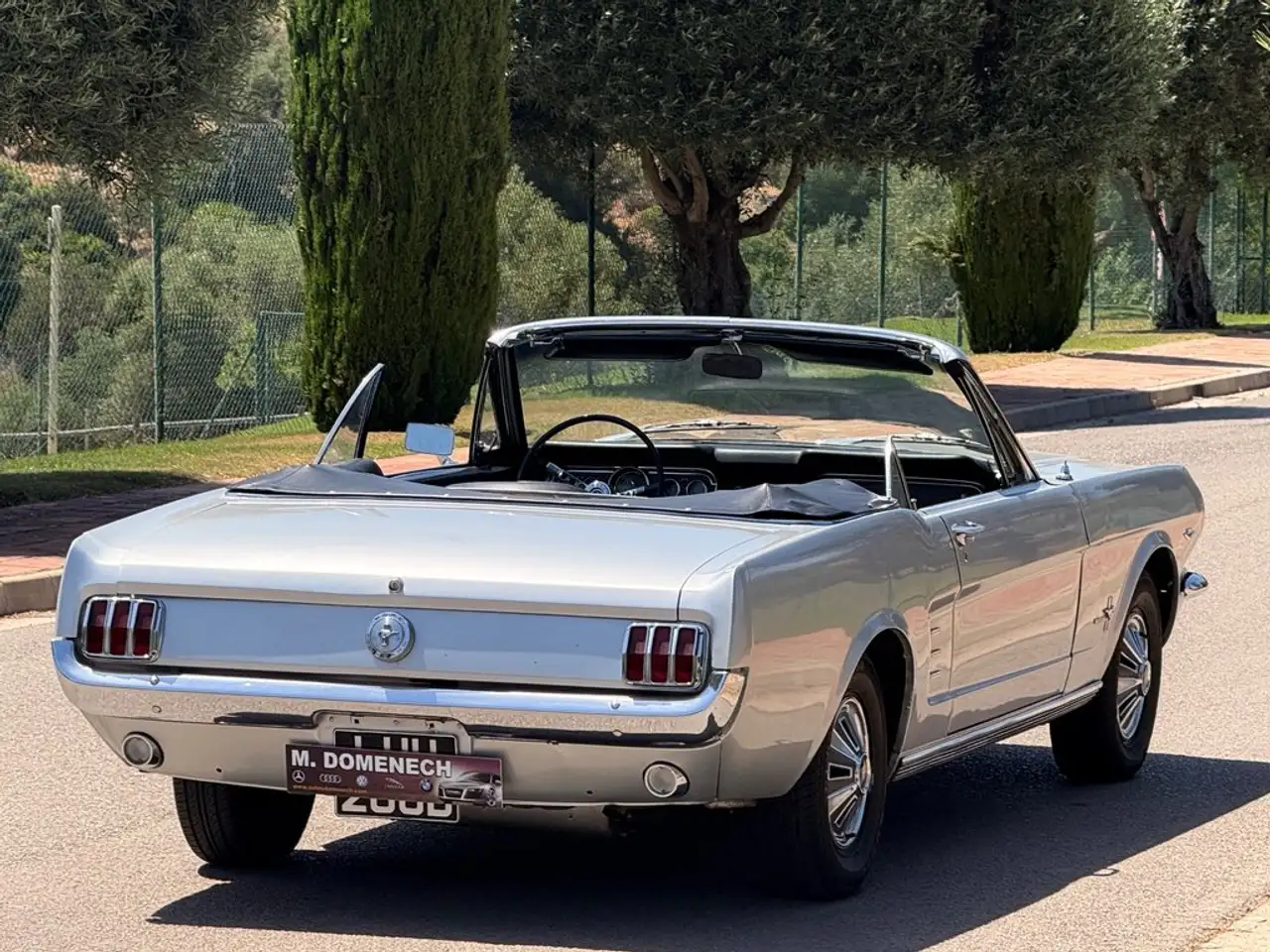 Ford 289 V8 4700cc, foto 12