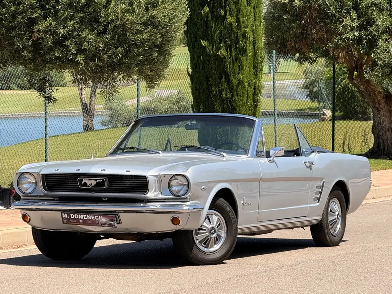 Ford 289 V8 4700cc, foto 6