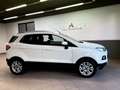 Ford EcoSport 1.5 tdci Titanium 90cv Unico prop tagliandi - thumbnail 3