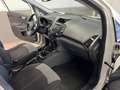Ford EcoSport 1.5 tdci Titanium 90cv Unico prop tagliandi - thumbnail 6
