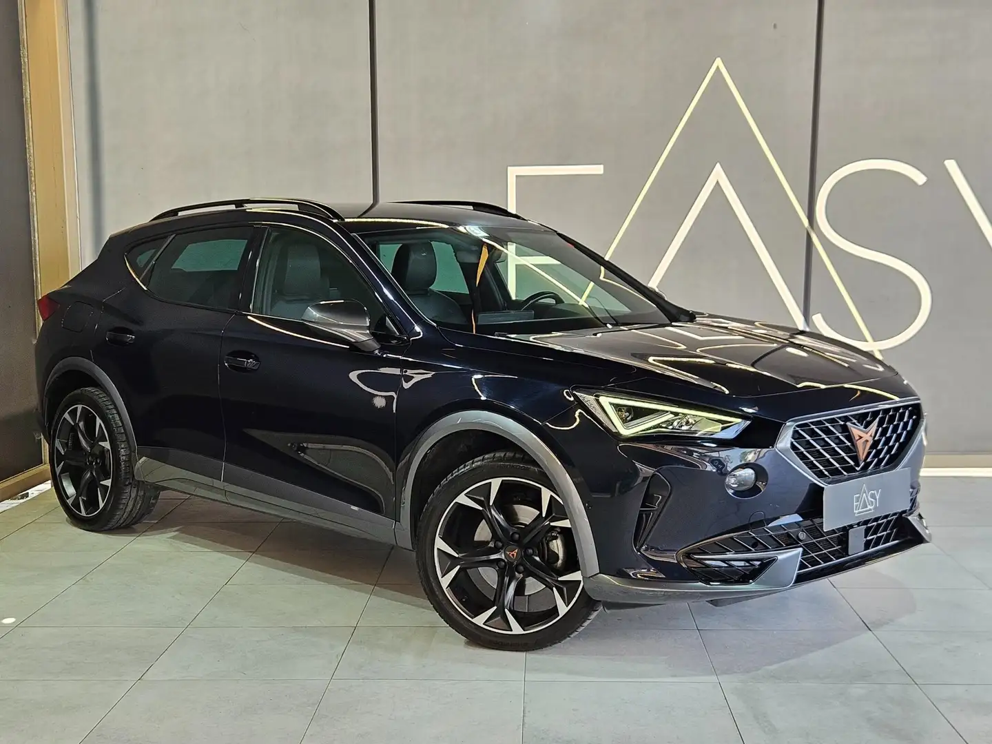 CUPRA Formentor 2.0 tdi 4drive 150cv dsg Blu/Azzurro - 2