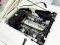 Austin-Healey 100 BN2 Negro - thumbnail 25