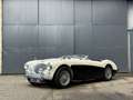 Austin-Healey 100 BN2 Negro - thumbnail 20