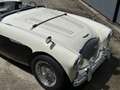 Austin-Healey 100 BN2 Negro - thumbnail 13