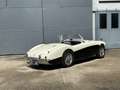 Austin-Healey 100 BN2 Negro - thumbnail 6