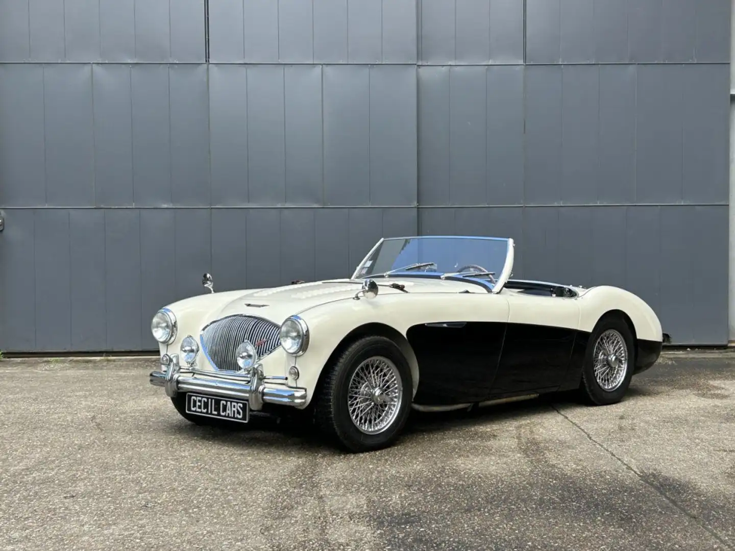 Austin-Healey 100 BN2 Negro - 1
