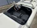 Austin-Healey 100 BN2 Negro - thumbnail 31