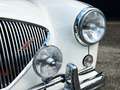 Austin-Healey 100 BN2 Negro - thumbnail 19