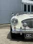 Austin-Healey 100 BN2 Negro - thumbnail 23
