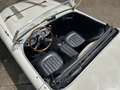 Austin-Healey 100 BN2 Negro - thumbnail 32
