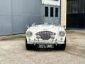 Austin-Healey 100 BN2 Negro - thumbnail 21