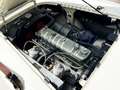 Austin-Healey 100 BN2 Negro - thumbnail 29