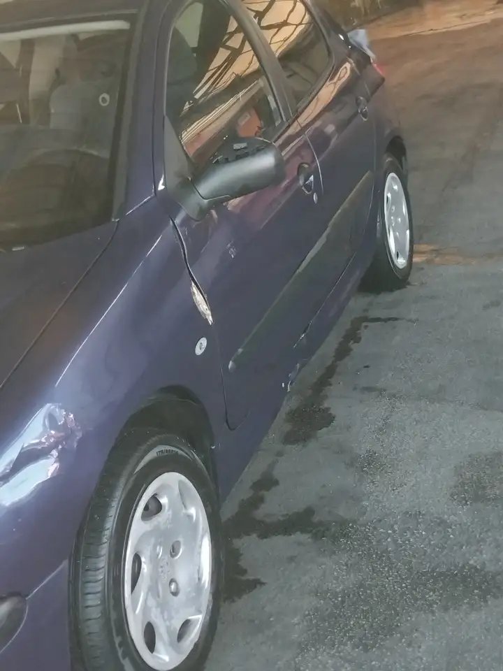 Peugeot 206 5p 1.1 XR, foto 2