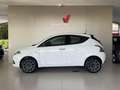 Lancia Ypsilon 1.0 FireFly 5 porte S&S Hybrid Gold KM ZERO Bianco - thumbnail 1