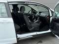 Ford B-Max B-MAX Trend KLIMA SERVO ABS ZV Weiß - thumbnail 20