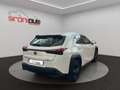 Lexus UX 300h UX 300h 2.0 Urban 2wd cvt Weiß - thumbnail 8