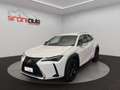 Lexus UX 300h UX 300h 2.0 Urban 2wd cvt Weiß - thumbnail 1