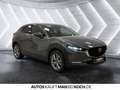 Mazda CX-30 2.5L e-SKYACTIV G 140ps 6MT Exclusiv Navi Grau - thumbnail 6