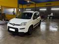 Fiat Panda Panda III 2021 1.0 firefly hybrid City Life s Blanc - thumbnail 2