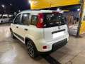 Fiat Panda Panda III 2021 1.0 firefly hybrid City Life s Blanc - thumbnail 3