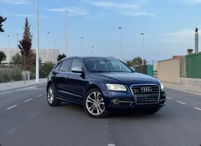 Audi SQ5 3.0TDI quattro Tiptronic 313