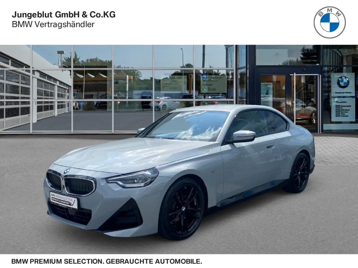 BMW 218 i Coupe M Sport Sitzhg./LiveCockpit+/DAB Gris - 1