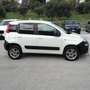 Fiat Panda 1.3 MJT 80 CV S&S 4x4 AUTOCARRO VAN Bianco - thumbnail 3