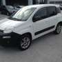 Fiat Panda 1.3 MJT 80 CV S&S 4x4 AUTOCARRO VAN Bianco - thumbnail 5