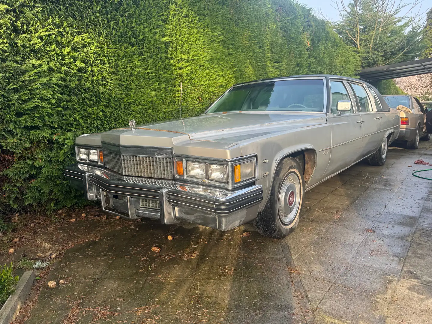 Oldtimer Cadillac fleet woud brougham limousine 34750 km Grau - 1
