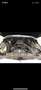 Oldtimer Cadillac fleet woud brougham limousine 34750 km Grau - thumbnail 17