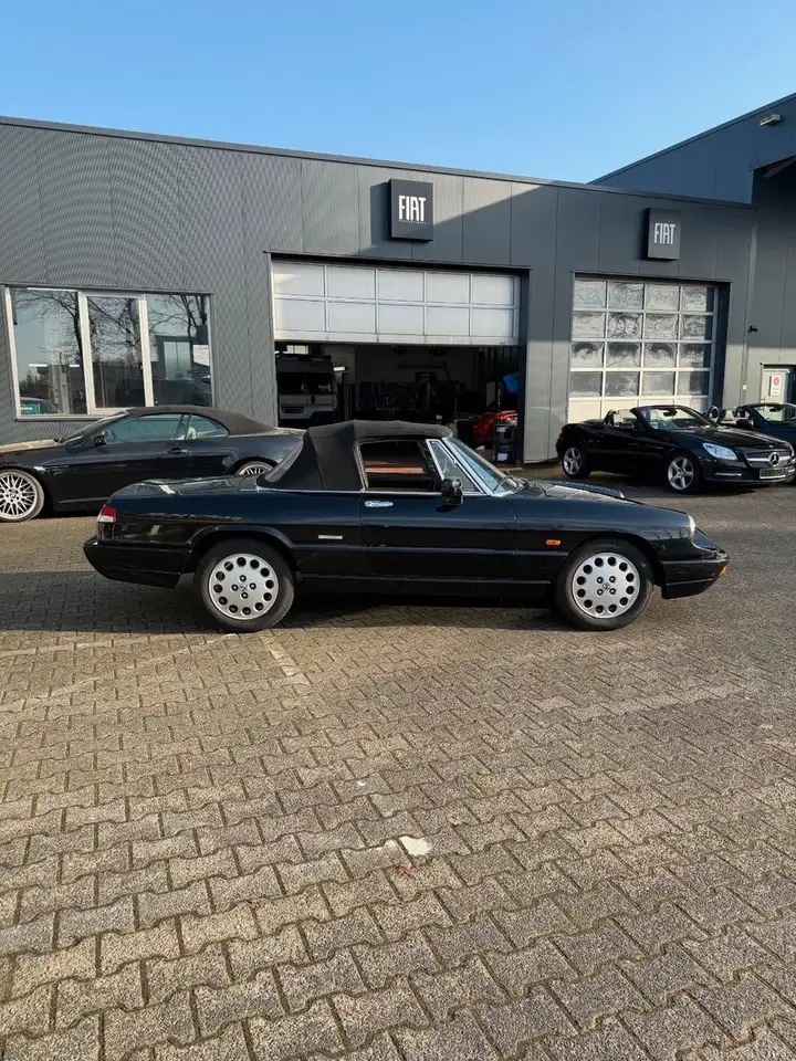 Alfa Romeo Spider, foto 6
