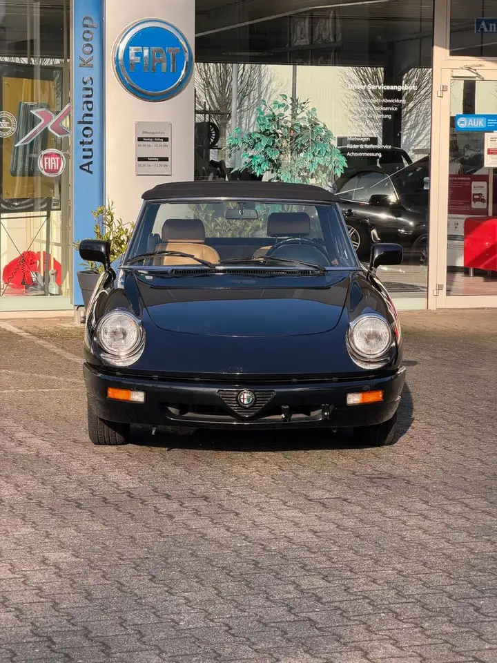 Alfa Romeo Spider, foto 8