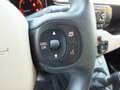 Fiat Panda 1.3 MJT S&S 4x4 ANTARTICA -UNIPROPRIETARIO! Beige - thumbnail 20