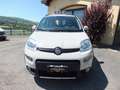 Fiat Panda 1.3 MJT S&S 4x4 ANTARTICA -UNIPROPRIETARIO! Beige - thumbnail 2