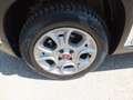 Fiat Panda 1.3 MJT S&S 4x4 ANTARTICA -UNIPROPRIETARIO! Beige - thumbnail 16