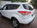 Ford Kuga Kuga 2.0 tdci Titanium 4wd 140cv Bianco - thumbnail 3