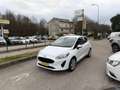 Ford Fiesta 1.1 5p. Plus #UNICOPROPRIETARIO Blanc - thumbnail 3