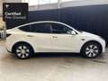 Tesla Model Y Rear-Wheel Drive “Certified Pre-Owned” Wit - thumbnail 10