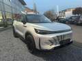 BAIC Beijing X75 1.5 TURBO AUTO FULL OPTIONS Grau - thumbnail 4
