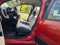 Fiat Panda Panda 0.9 t.air t. natural power METANO80cv Arancione - thumbnail 13