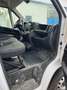 Fiat Ducato 35 MH2 2.2 MJET 140CV - MOTORE Blanc - thumbnail 11