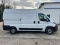 Fiat Ducato 35 MH2 2.2 MJET 140CV - MOTORE Blanc - thumbnail 9