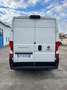 Fiat Ducato 35 MH2 2.2 MJET 140CV - MOTORE Blanc - thumbnail 8