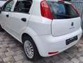Fiat Punto Punto 1,2 69 Italia Italia Weiß - thumbnail 2