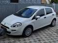 Fiat Punto Punto 1,2 69 Italia Italia Weiß - thumbnail 1