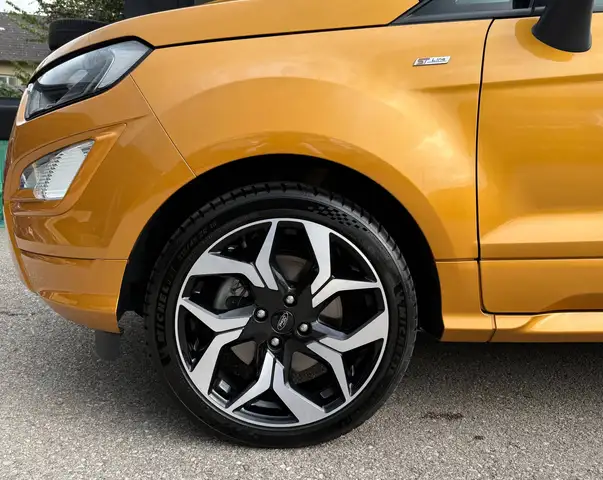 Ford Ecosport view 6
