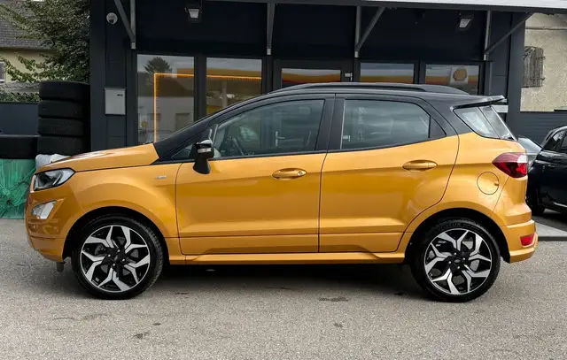 Ford Ecosport view 7