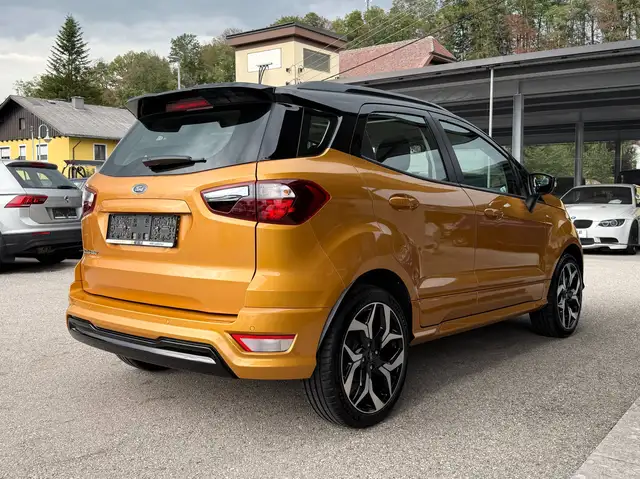 Ford Ecosport view 11