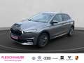 Skoda Fabia Tour  1.0 70 (95) kW(PS) 5 Gang Parklenkassistent Grau - thumbnail 1