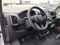 Fiat Ducato Ducato Maxi Shuttle L4H2 8 Sitze 4 Jahre Garantie Weiß - thumbnail 10